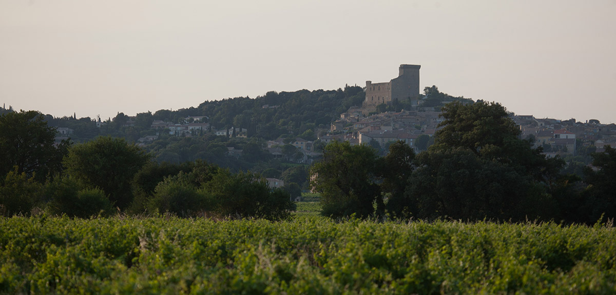 Châteauneuf du Pape castle Châteauneuf du Pape castle